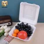 100% biodegradable lock box bento box sugarcane bagasse food container samples
