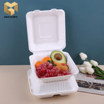 100% biodegradable lock box bento box sugarcane bagasse food container samples