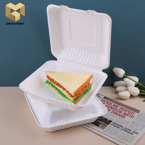 100% biodegradable lock box bento box sugarcane bagasse food container samples