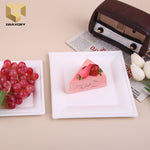 10 inch compostable disposable square bagasse plate samples