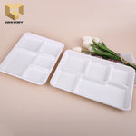 6 inch Sugarcane bagasse food container biodegradable lunch bagasse plate samples