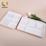 6 inch Sugarcane bagasse food container biodegradable lunch bagasse plate samples