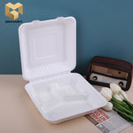 biodegradable takeaway compostable lock box bagasse food container sugarcane samples