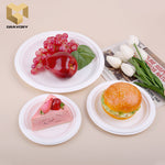 9 inch round plate 100% compostable sugarcane bagasse plate samples