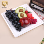 10 inch compostable disposable square bagasse plate samples