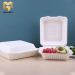Biodegradable sugarcane lock box custom disposable fast food container samples