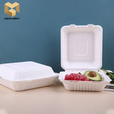 Biodegradable sugarcane lock box custom disposable fast food container samples