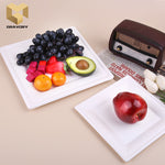 10 inch compostable disposable square bagasse plate samples