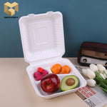 Biodegradable sugarcane lock box custom disposable fast food container samples