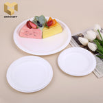 9 inch round plate 100% compostable sugarcane bagasse plate samples