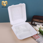 100% biodegradable lock box bento box sugarcane bagasse food container samples